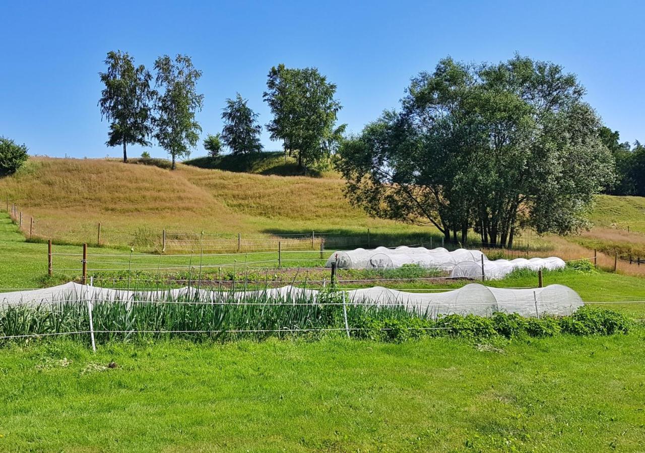 Гостьовий будинок Flora Dekor Gaestgard Алінґсос Екстер'єр фото